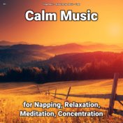 !!!! Calm Music for Napping, Relaxation, Meditation, Concentration