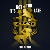 It's Not Too Late (Pop Remix)