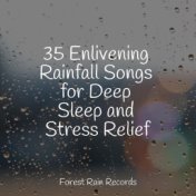 35 Enlivening Rainfall Songs for Deep Sleep and Stress Relief