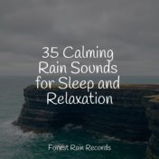 35 Calming Rain Sounds for Sleep and Relaxation