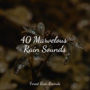 40 Marvelous Rain Sounds