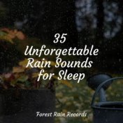 35 Unforgettable Rain Sounds for Sleep