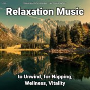 zZZz Relaxation Music to Unwind, for Napping, Wellness, Vitality