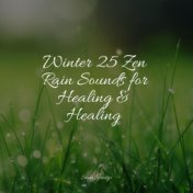 Winter 25 Zen Rain Sounds for Healing & Healing