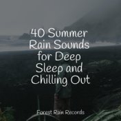 40 Summer Rain Sounds for Deep Sleep and Chilling Out