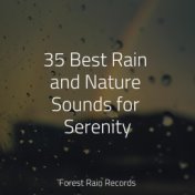 35 Best Rain and Nature Sounds for Serenity