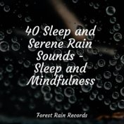 40 Sleep and Serene Rain Sounds - Sleep and Mindfulness