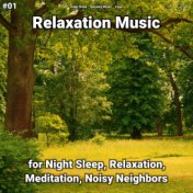 #01 Relaxation Music for Night Sleep, Relaxation, Meditation, Noisy Neighbors