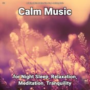 #01 Calm Music for Night Sleep, Relaxation, Meditation, Tranquility