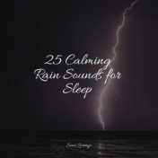 25 Calming Rain Sounds for Sleep