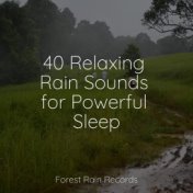 40 Relaxing Rain Sounds for Powerful Sleep