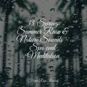 35 Spring Summer Rain & Nature Sounds - Spa and Meditation