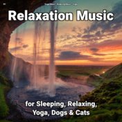 !!!! Relaxation Music for Sleeping, Relaxing, Yoga, Dogs & Cats