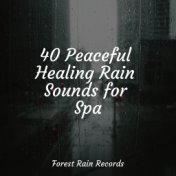 40 Peaceful Healing Rain Sounds for Spa