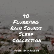 40 Flurrying Rain Sounds Sleep Collection