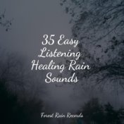 35 Easy Listening Healing Rain Sounds