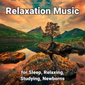 #01 Relaxation Music for Sleep, Relaxing, Studying, Newborns