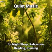#01 Quiet Music for Night Sleep, Relaxation, Reading, Running