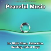 #01 Peaceful Music for Night Sleep, Relaxation, Reading, Cats & Dogs