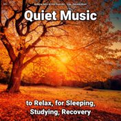 #01 Quiet Music to Relax, for Sleeping, Studying, Recovery