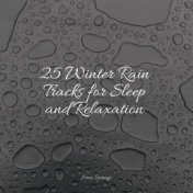 25 Winter Rain Tracks for Sleep and Relaxation
