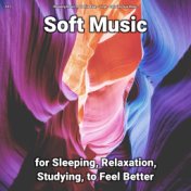 #01 Soft Music for Sleeping, Relaxation, Studying, to Feel Better