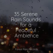 35 Serene Rain Sounds for a Peaceful Ambience