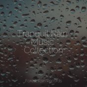 Tranquil Rain Music Collection