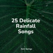 25 Delicate Rainfall Songs