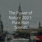 The Power of Nature 2021: Pure Rain Sounds