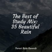 The Best of Study Mix: 35 Beautiful Rain