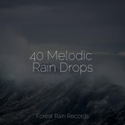 40 Melodic Rain Drops