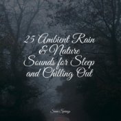 25 Ambient Rain & Nature Sounds for Sleep and Chilling Out