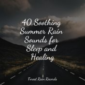 40 Soothing Summer Rain Sounds for Sleep and Healing