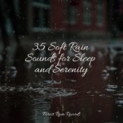35 Soft Rain Sounds for Sleep and Serenity