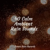 40 Calm Ambient Rain Sounds