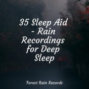 35 Sleep Aid - Rain Recordings for Deep Sleep