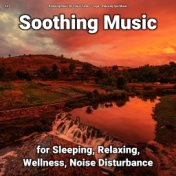 #01 Soothing Music for Sleeping, Relaxing, Wellness, Noise Disturbance