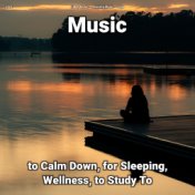 zZZz Music to Calm Down, for Sleeping, Wellness, to Study To