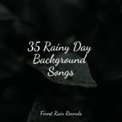 35 Rainy Day Background Songs