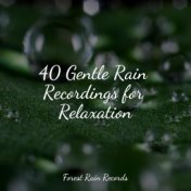 40 Gentle Rain Recordings for Relaxation