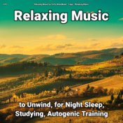 #01 Relaxing Music to Unwind, for Night Sleep, Studying, Autogenic Training