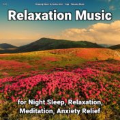 #01 Relaxation Music for Night Sleep, Relaxation, Meditation, Anxiety Relief