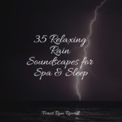 35 Relaxing Rain Soundscapes for Spa & Sleep