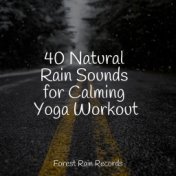 40 Natural Rain Sounds for Calming Yoga Workout