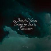 25 Best of Nature Sounds for Spa & Relaxation
