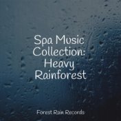 Spa Music Collection: Heavy Rainforest