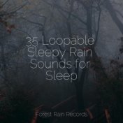 35 Loopable Sleepy Rain Sounds for Sleep