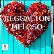 Reggaeton Meloso Vol. 5