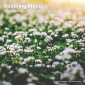 Soothing Music to Calm Down, for Sleep, Reading, Tinnitus